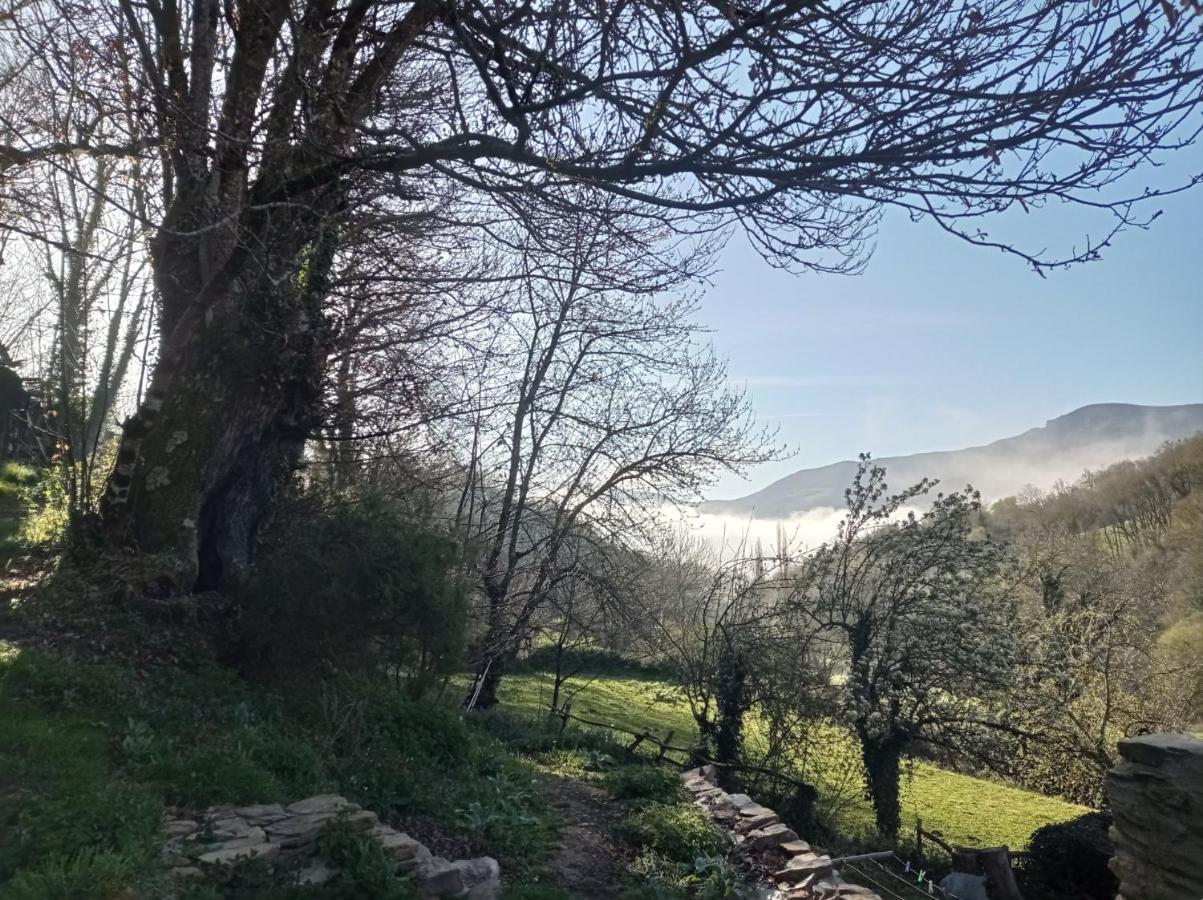 Albergue Eco El Beso - Vegano Triacastela Luaran gambar