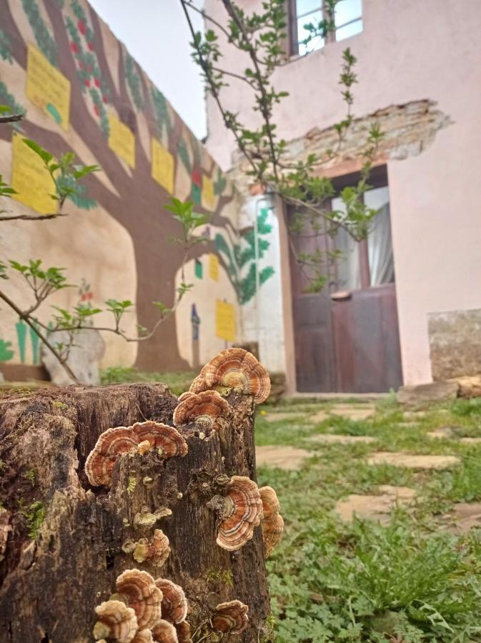 Albergue Eco El Beso - Vegano Triacastela Luaran gambar